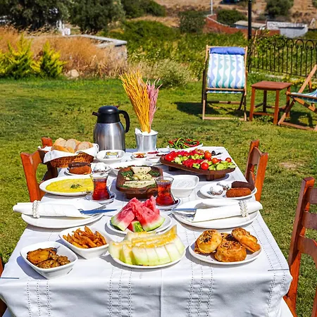 فندق Bakbay Bozcaada تْشاناكالي