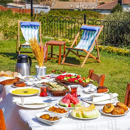 فندق Bakbay Bozcaada تْشاناكالي