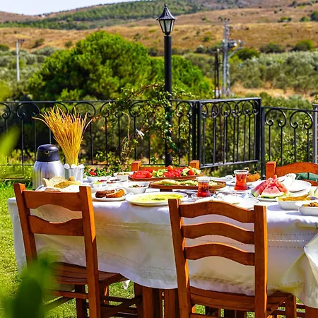 Bakbay Bozcaada Çanakkale